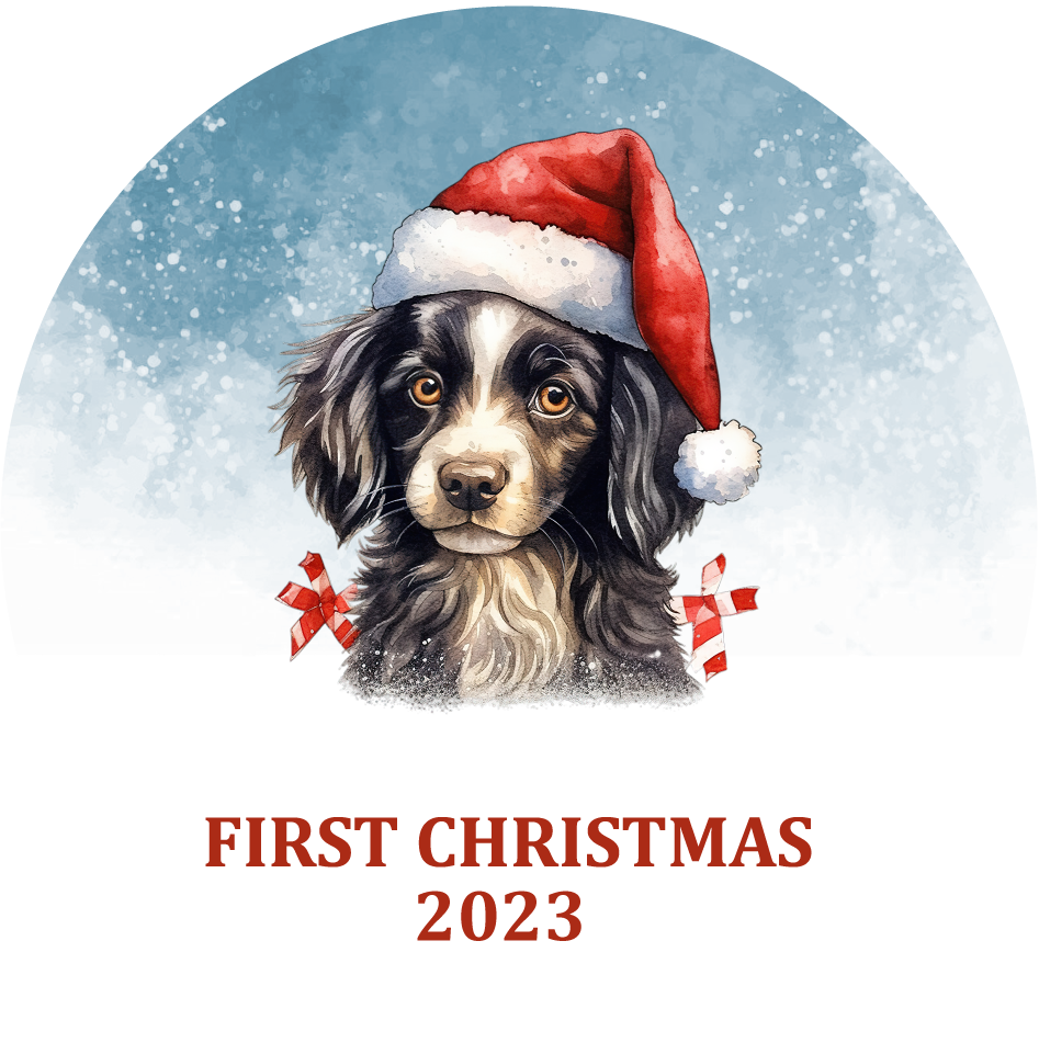 Puppy's First Christmas Personalized Christmas Ornament