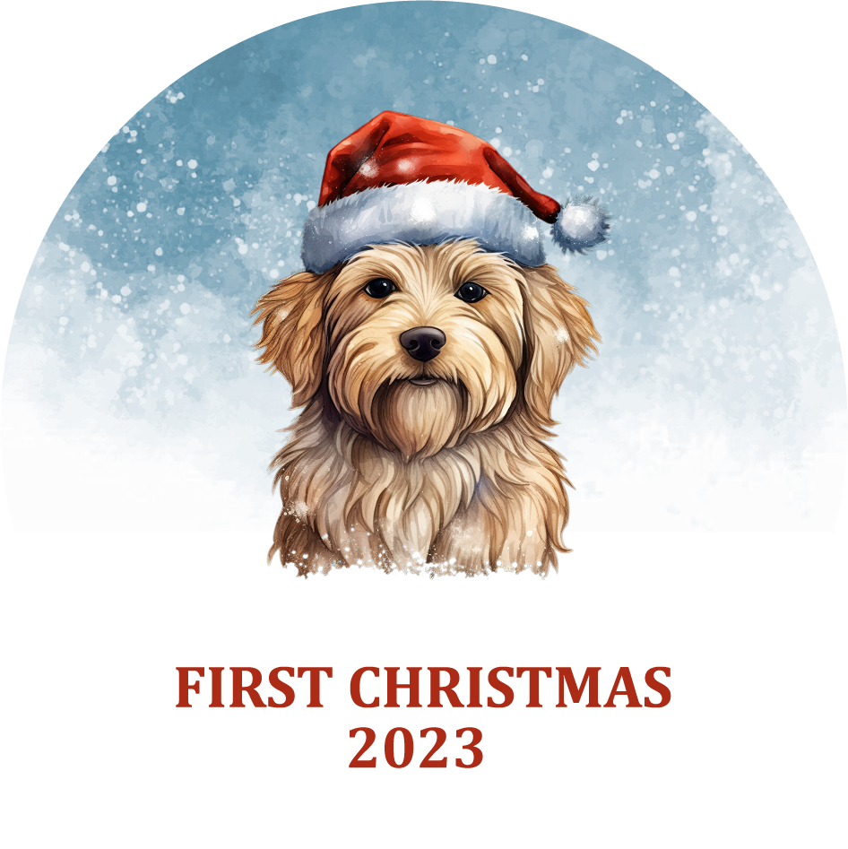 Puppy's First Christmas Personalized Christmas Ornament