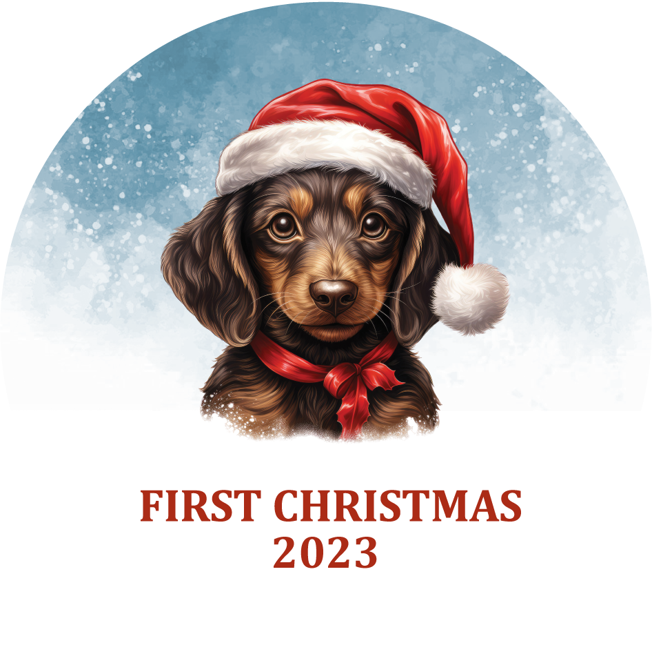 Puppy's First Christmas Personalized Christmas Ornament