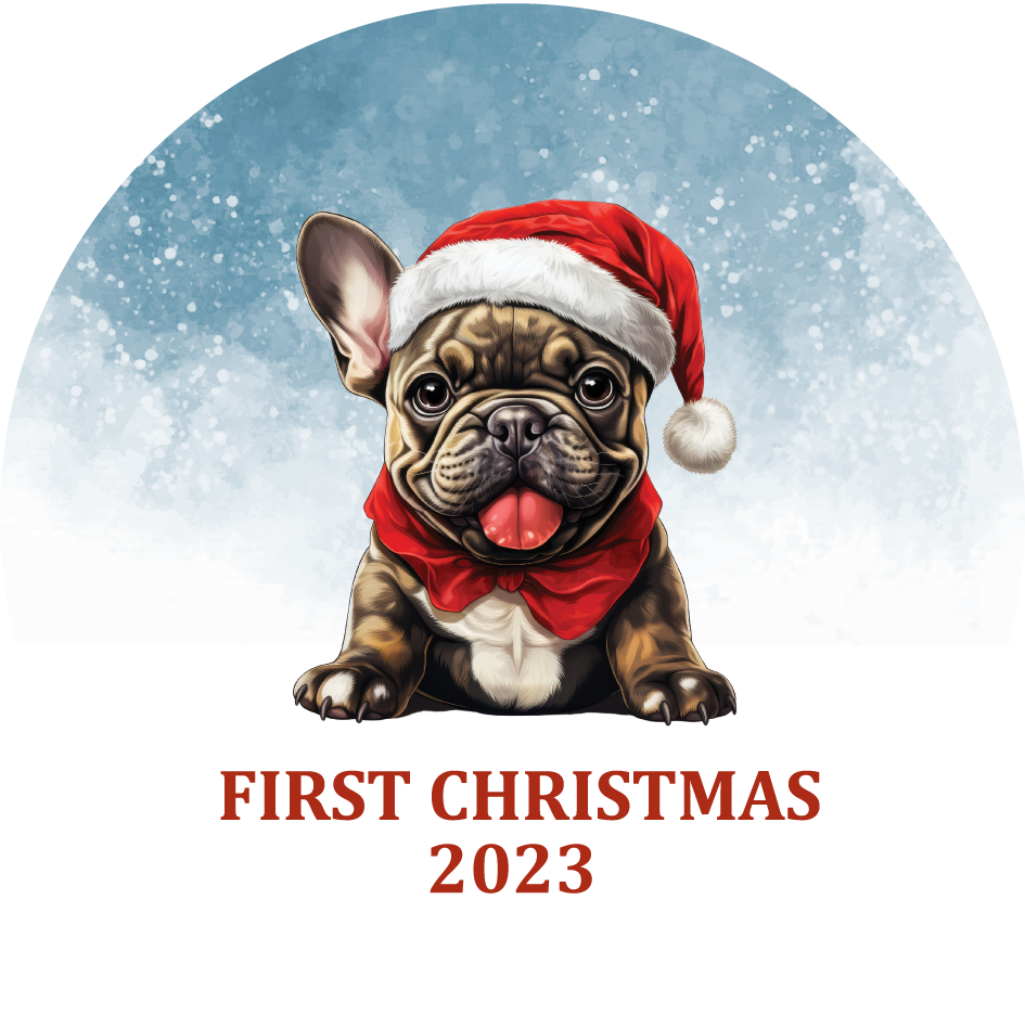 Puppy's First Christmas Personalized Christmas Ornament