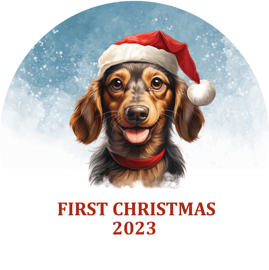 Puppy's First Christmas Personalized Christmas Ornament