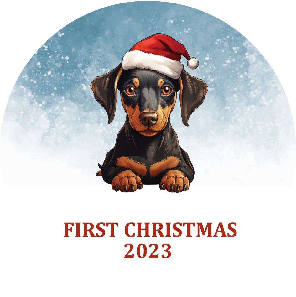 Puppy's First Christmas Personalized Christmas Ornament