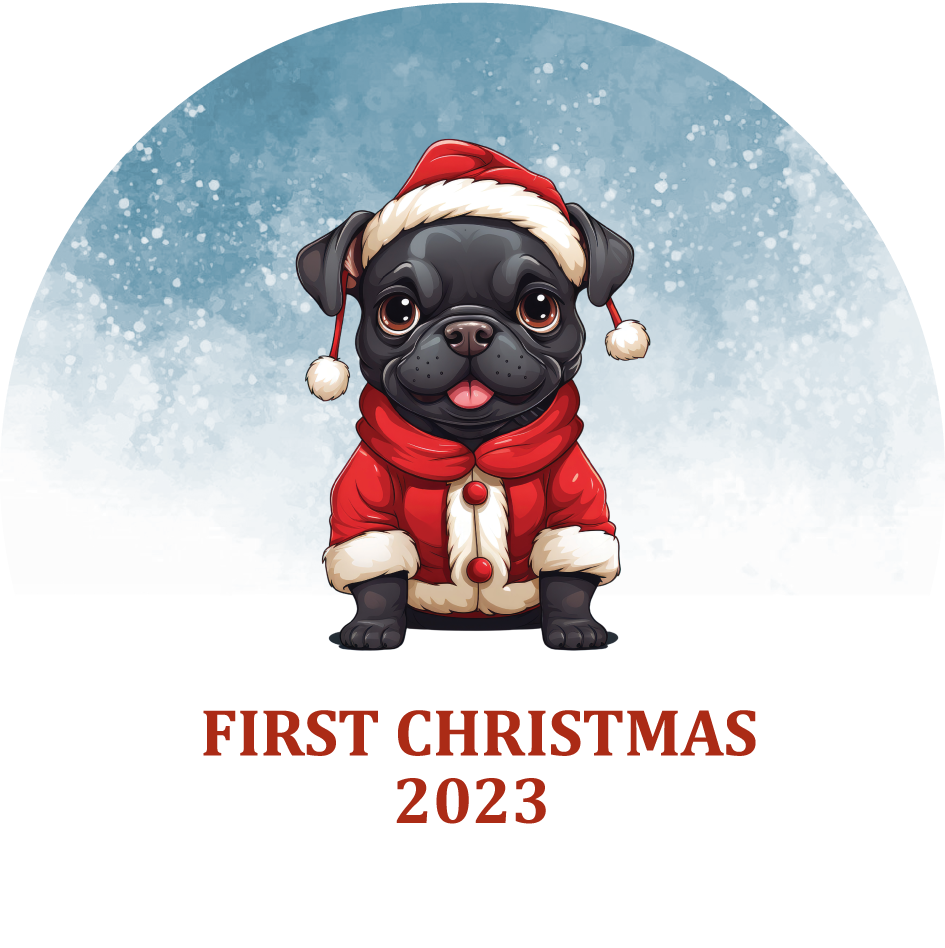 Puppy's First Christmas Personalized Christmas Ornament