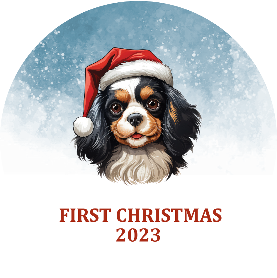 Puppy's First Christmas Personalized Christmas Ornament