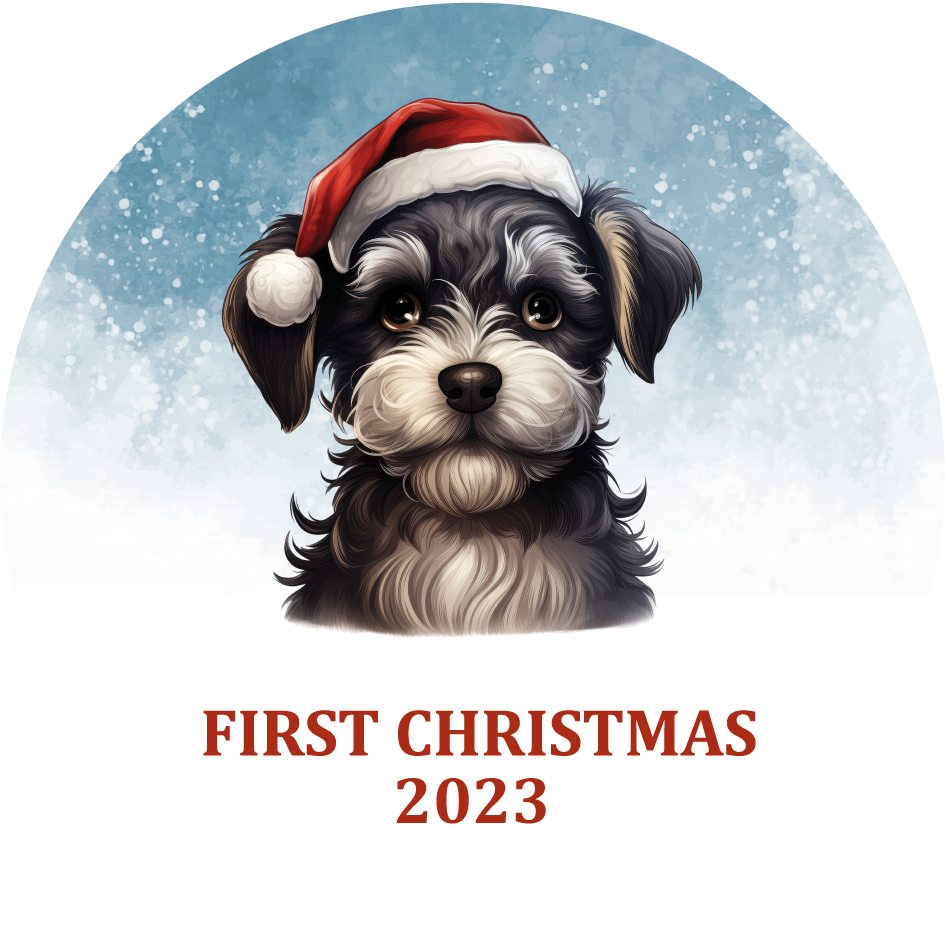 Puppy's First Christmas Personalized Christmas Ornament