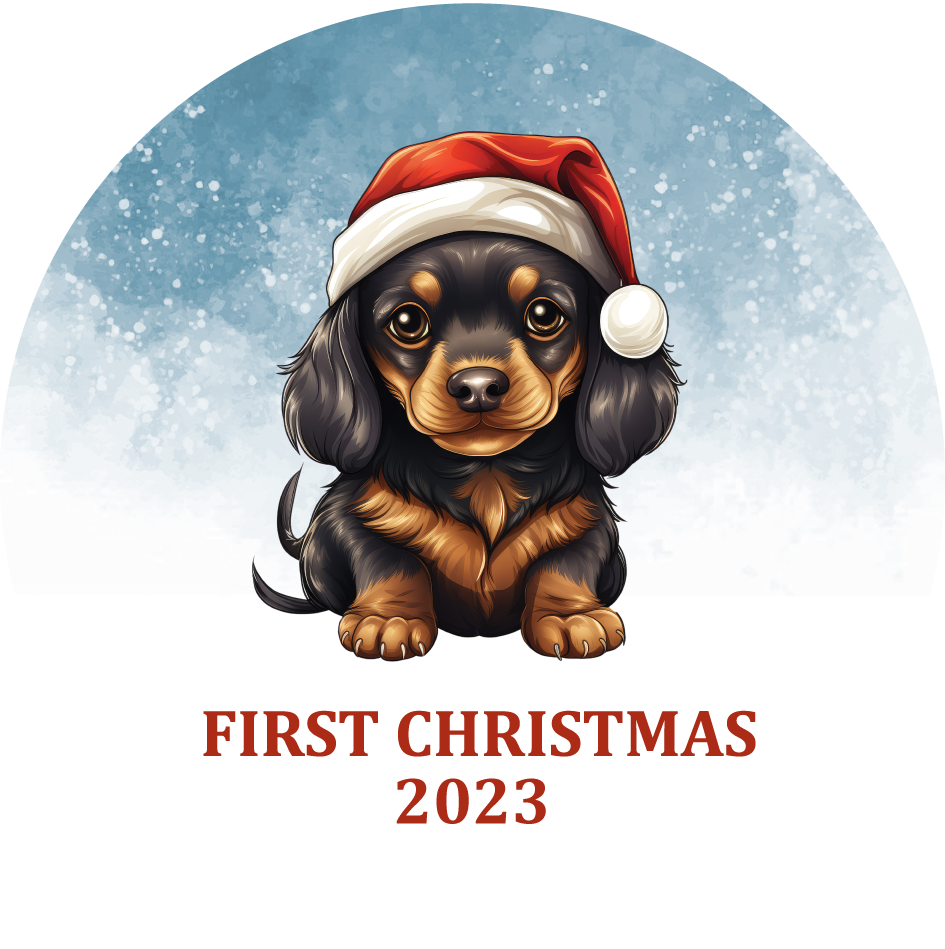 Puppy's First Christmas Personalized Christmas Ornament