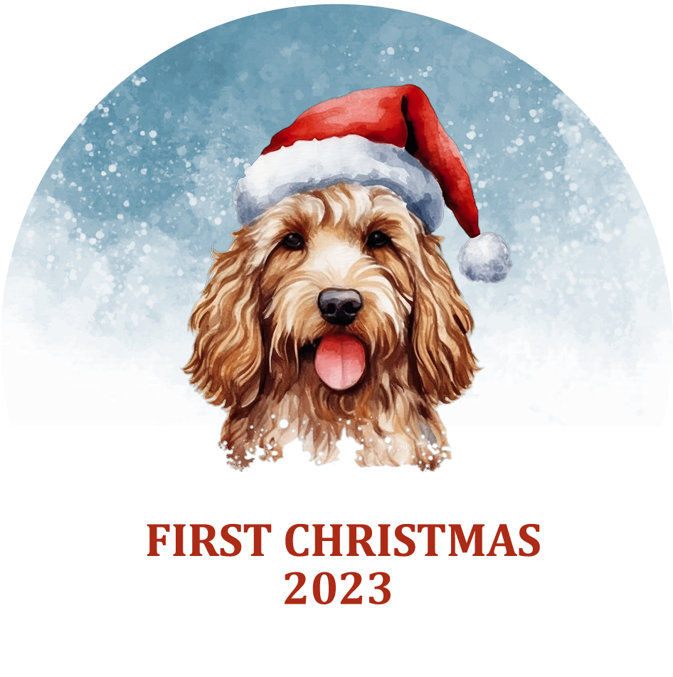 Puppy's First Christmas Personalized Christmas Ornament